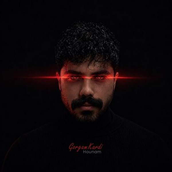 دانلود آهنگ هونام گرگم کردی