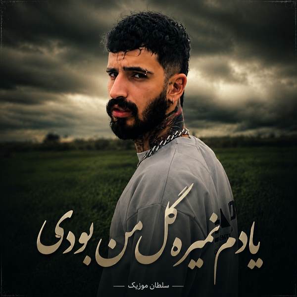 دانلود آهنگ یادم نمیره گل من بودی یه دفعه چیدنت