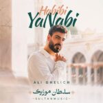 دانلود آهنگ حبیبی یا نبی علی اکبر قلیچ دانلود آهنگ حبیبی یا نبی علی اکبر قلیچ