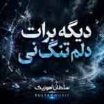 دانلود آهنگ دیگه برات دلم تنگ نی از اردلان