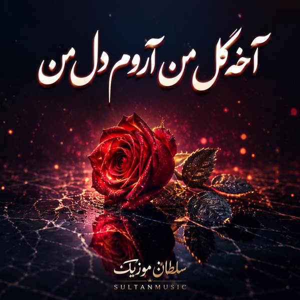 دانلود آهنگ آخه گل من آروم دل من