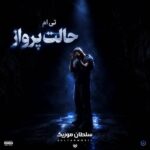 دانلود آهنگ حالت پرواز تی ام