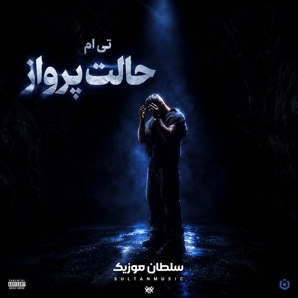 دانلود آهنگ حالت پرواز تی ام