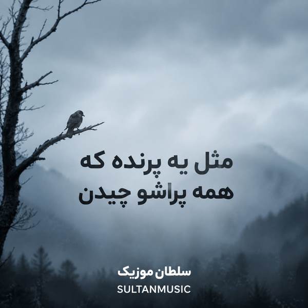 دانلود آهنگ مثل یه پرنده که همه پراشو چیدن