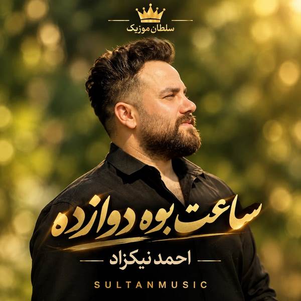 دانلود آهنگ ساعت بوه دوازده دلبر چیکار هاکنم