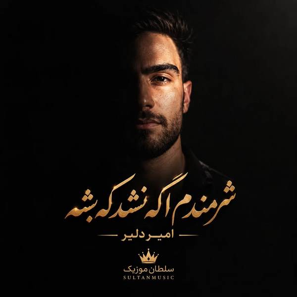 دانلود آهنگ شرمندم اگه نشد که بشه امیر دلیر