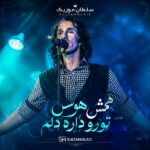 دانلود آهنگ همش هوس تورو داره دلم