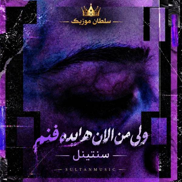 دانلود آهنگ ولی من الان هایده فنم