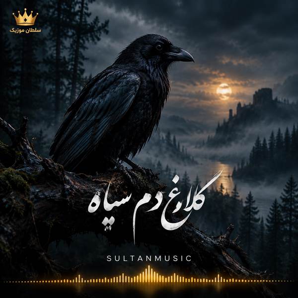 دانلود آهنگ کلاغ دم سیاه