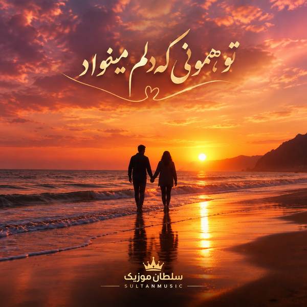دانلود آهنگ تو همونی که دلم میخواد