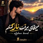 دانلود آهنگ میخای برات نازکنم سینه ی مرمرو برات باز کنم