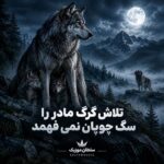 دانلود آهنگ تلاش گرگ مادر را سگ چوپان نمی فهمد دانلود آهنگ تلاش گرگ مادر را سگ چوپان نمی فهمد