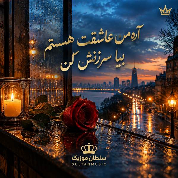 آره من عاشقت هستم بیا سرزنش کن
