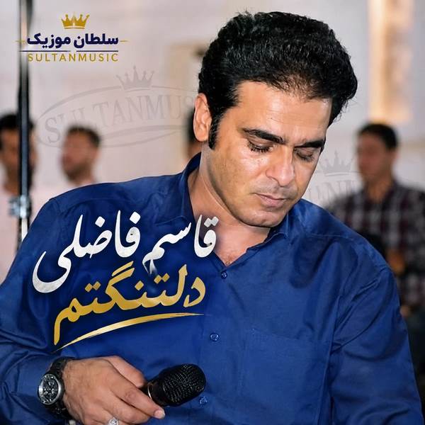 دانلود آهنگ قاسم فاضلی دلتنگتم