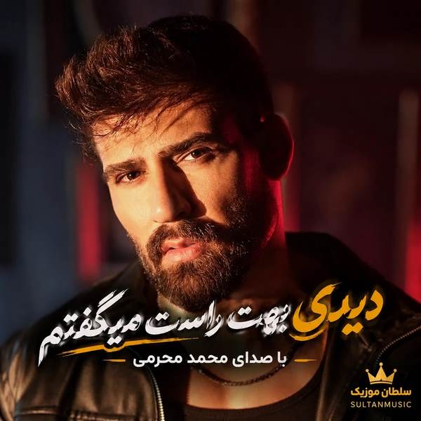 دانلود آهنگ دیدی بهت راست میگفتم دیوونم کردی دختر