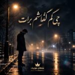 دانلود آهنگ چی کم گذاشتم برات دانلود آهنگ چی کم گذاشتم برات