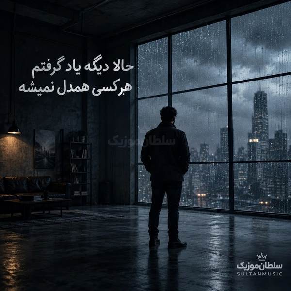 دانلود آهنگ حالا دیگه یاد گرفتم هر کسی همدل نمیشه